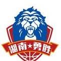 湖南勇勝后備隊(duì)