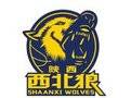 陜西信達(dá)后備隊(duì)