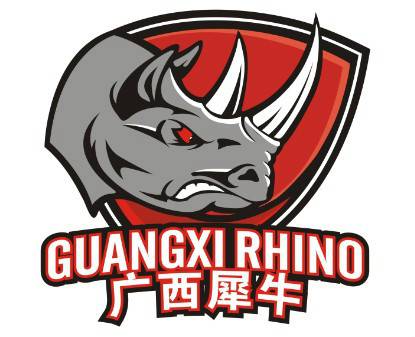 廣西威壯后備隊